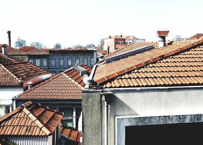 Moon & Sun מלון 4*